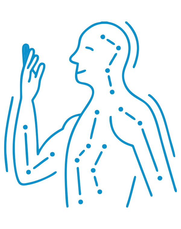 Organ Pulses (Meridians) image